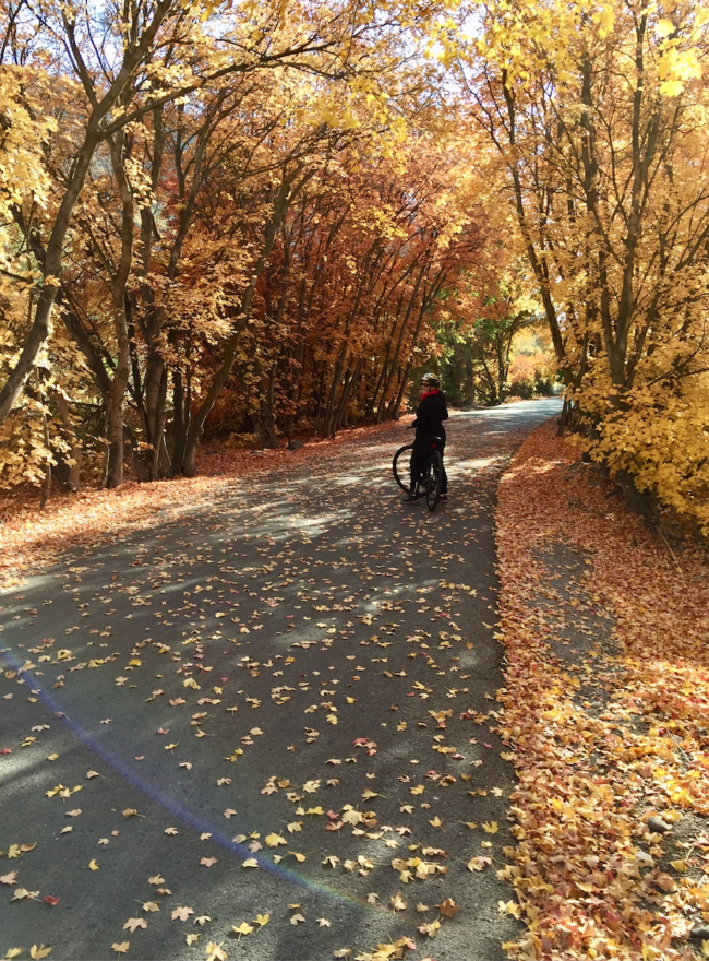 Screen-Shot-2021-10-28-at-8.55.51-PM